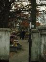 Cmentarz w Kobyłce (15)