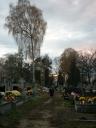 Cmentarz w Kobyłce (21)
