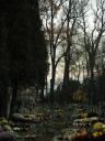Cmentarz w Kobyłce (23)