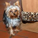 Nad bezpieczeństwem dziewczyn czuwał Oskar