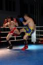Gala kickboxingu.