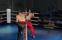 Gala kickboxingu.