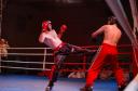 Gala Mistrzów Kickboxingu w ZSP nr 2 w Kobyłce