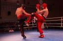 Gala Mistrzów Kickboxingu w ZSP nr 2 w Kobyłce