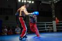 Gala Mistrzów Kickboxingu w ZSP nr 2 w Kobyłce