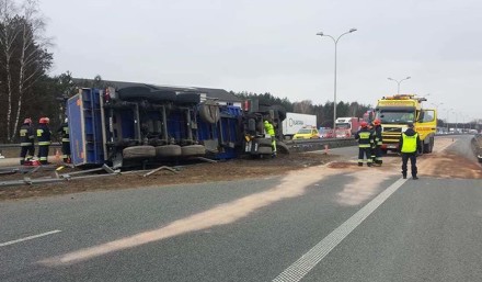 29748175_1670686022985850_49366174_o