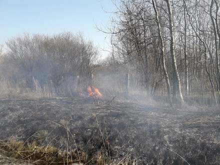 Matejki-gazeta-752Q100