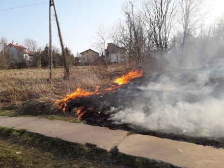 drugi matejki 2-gazeta-752Q100