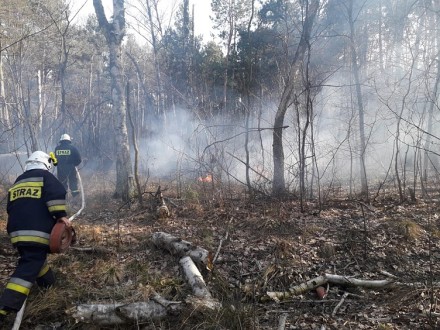 skorupki-gazeta-752Q100