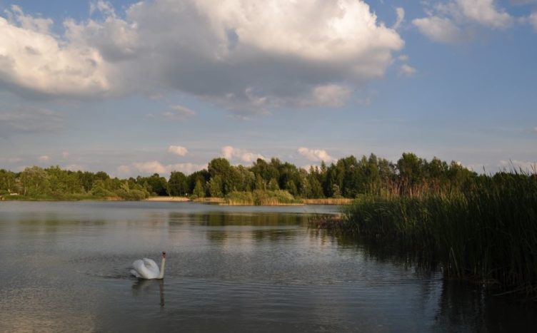 Glinianki w Zielonce