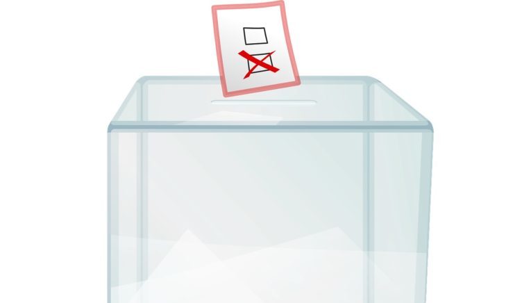 Tak głosowały Marki