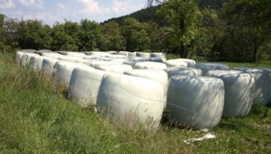 Klembów - Odbiory folii rolniczej