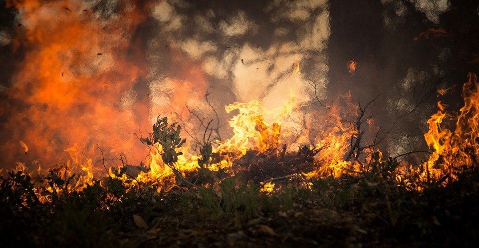 trzech strażaków ochotników