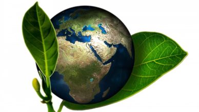 Konkurs Moja Eko-Rodzina