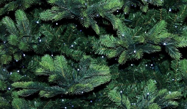 Marki - poświąteczny odbiór choinek