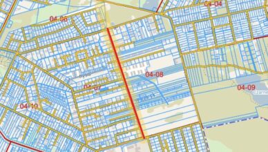 projektowanie Wilczej