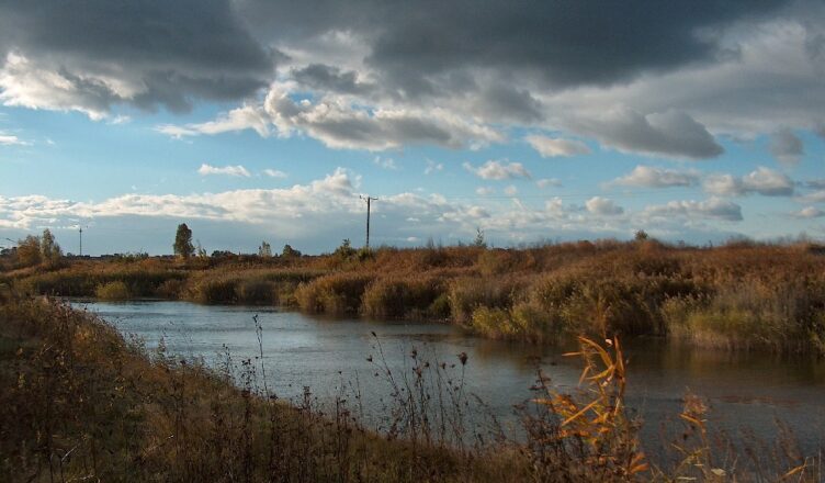 sprzątanie rzeki Rządza