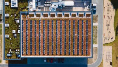 Samorządy z powiatu wołomińskiego na rzecz ekologii