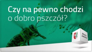 Pszczoły dla Zielonki