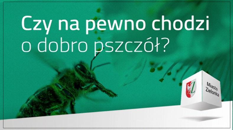 Pszczoły dla Zielonki