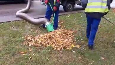 Jesienne prace porządkowe