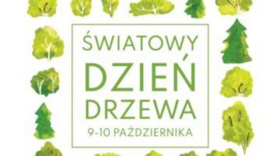 Uczcij Światowy Dzień Drzewa