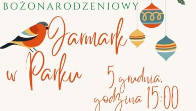 Bożonarodzeniowy Jarmark w Parku w Ostrówku