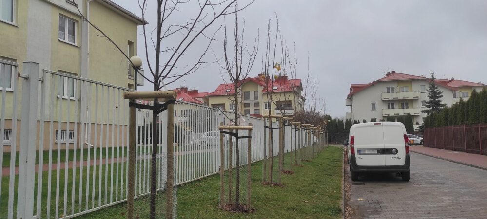 Nowe nasadzenia drzew w Markach
