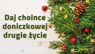Daj choince drugie życie