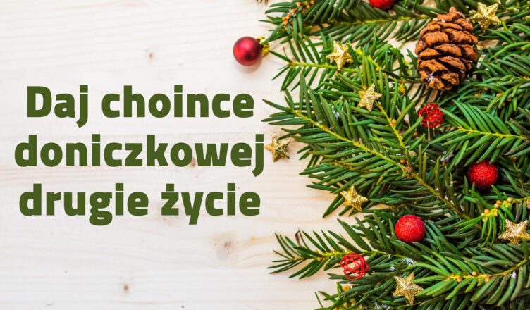 Daj choince drugie życie