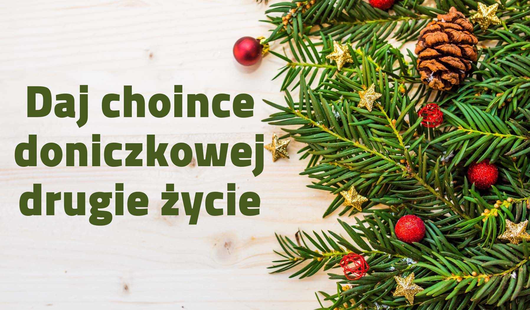Daj choince drugie życie