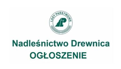Nadleśnictwo Drewnica zatrudni księgowego