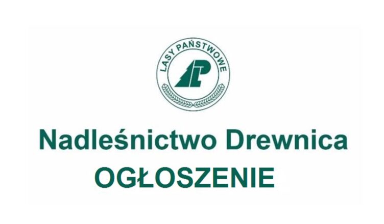Nadleśnictwo Drewnica zatrudni księgowego