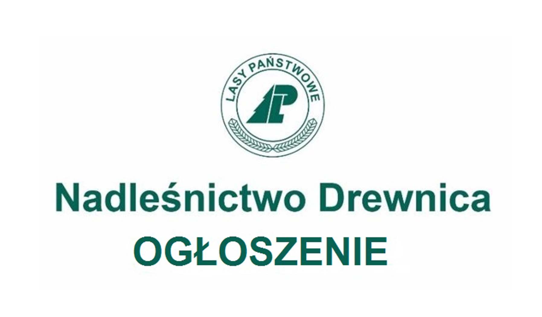 Nadleśnictwo Drewnica zatrudni księgowego