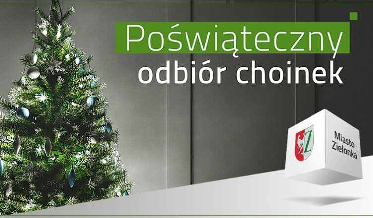 Poświąteczny odbiór choinek w Zielonce