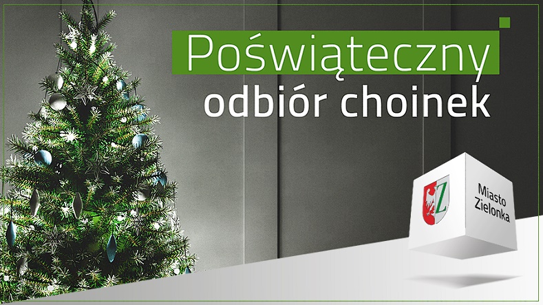 Poświąteczny odbiór choinek w Zielonce