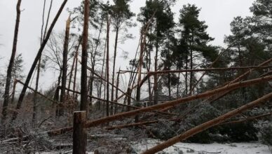 Niebezpieczne zjawiska pogodowe