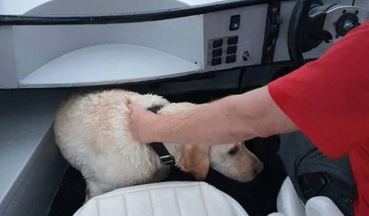 Akcja ratownicza na Zalewie Zegrzyńskim