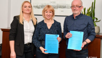 strefy płatnego parkowania