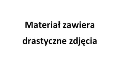 Policja prosi o pomoc w ustaleniu tożsamości denata - materiał zawiera drastyczne zdjęcia