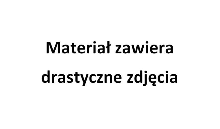 Policja prosi o pomoc w ustaleniu tożsamości denata - materiał zawiera drastyczne zdjęcia