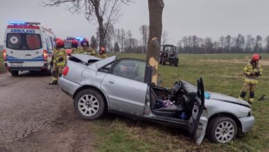 Mazowsze na sygnale - raport tygodniowy