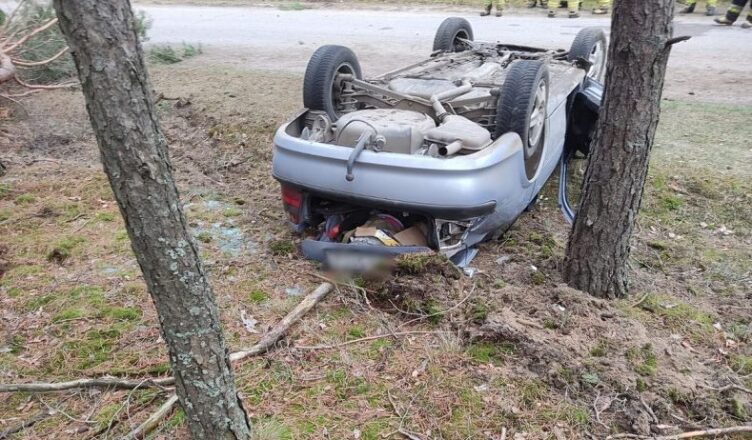 Dachowanie w Starym Bosewie