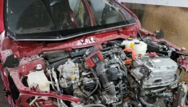 W dziupli pod Wołominem rozbierali toyoty