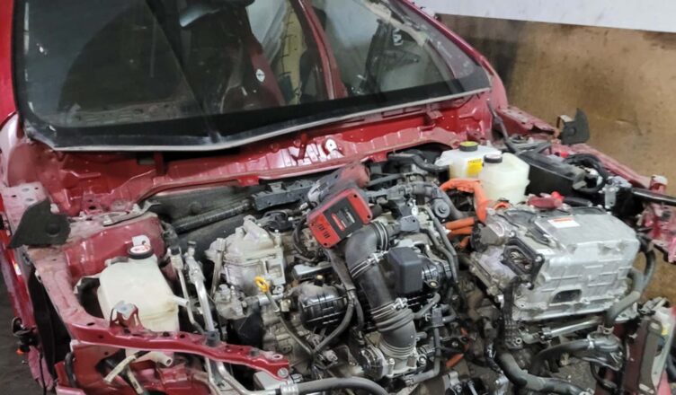 W dziupli pod Wołominem rozbierali toyoty