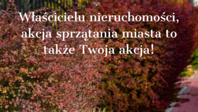 Sprzątanie miasta Ząbki