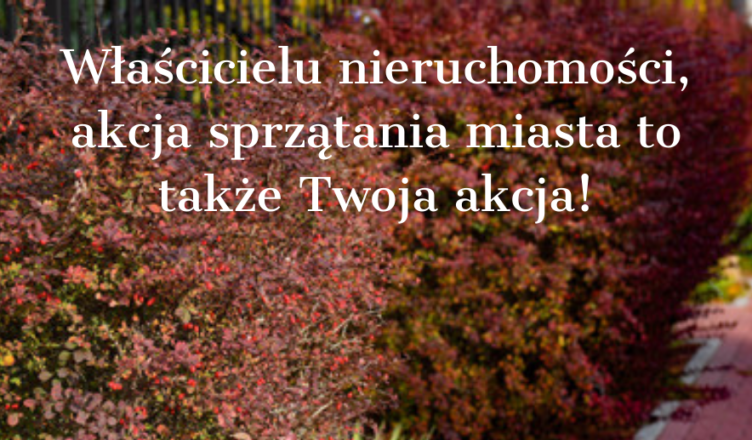 Sprzątanie miasta Ząbki