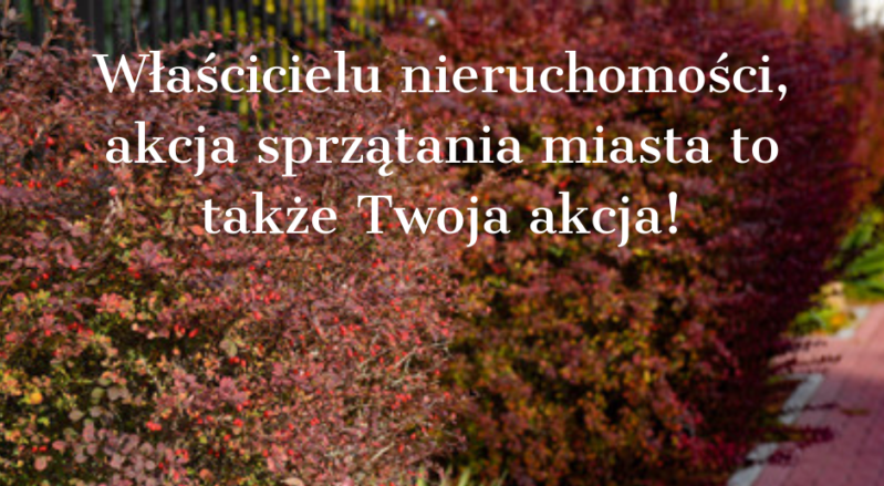 Sprzątanie miasta Ząbki