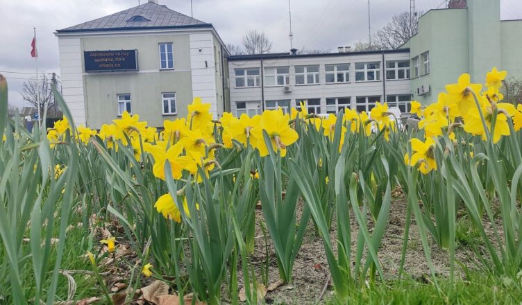 79. rocznica powstania w getcie warszawskim