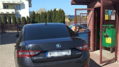 altan śmietnikowych